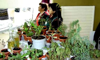 CONADI IMPLEMENTÓ PLAN DE SALUD INTERCULTURAL EN CONSULTORIOS DE MAGALLANES