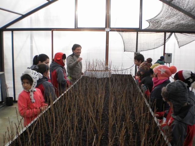 PROGRAMA DE ARBORIZACIÓN DE CONAF ENTREGARÁ 50 MIL ÁRBOLES ESTE AÑO EN MAGALLANES