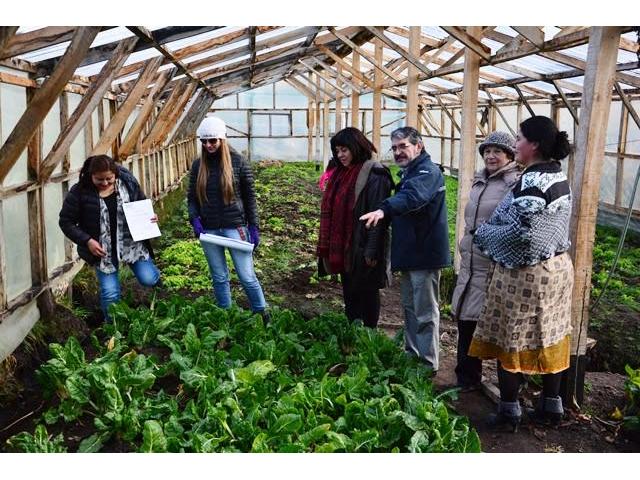 PEQUEÑOS AGRICULTORES INICIAN TEMPORADA AGRÍCOLA EN MAGALLANES