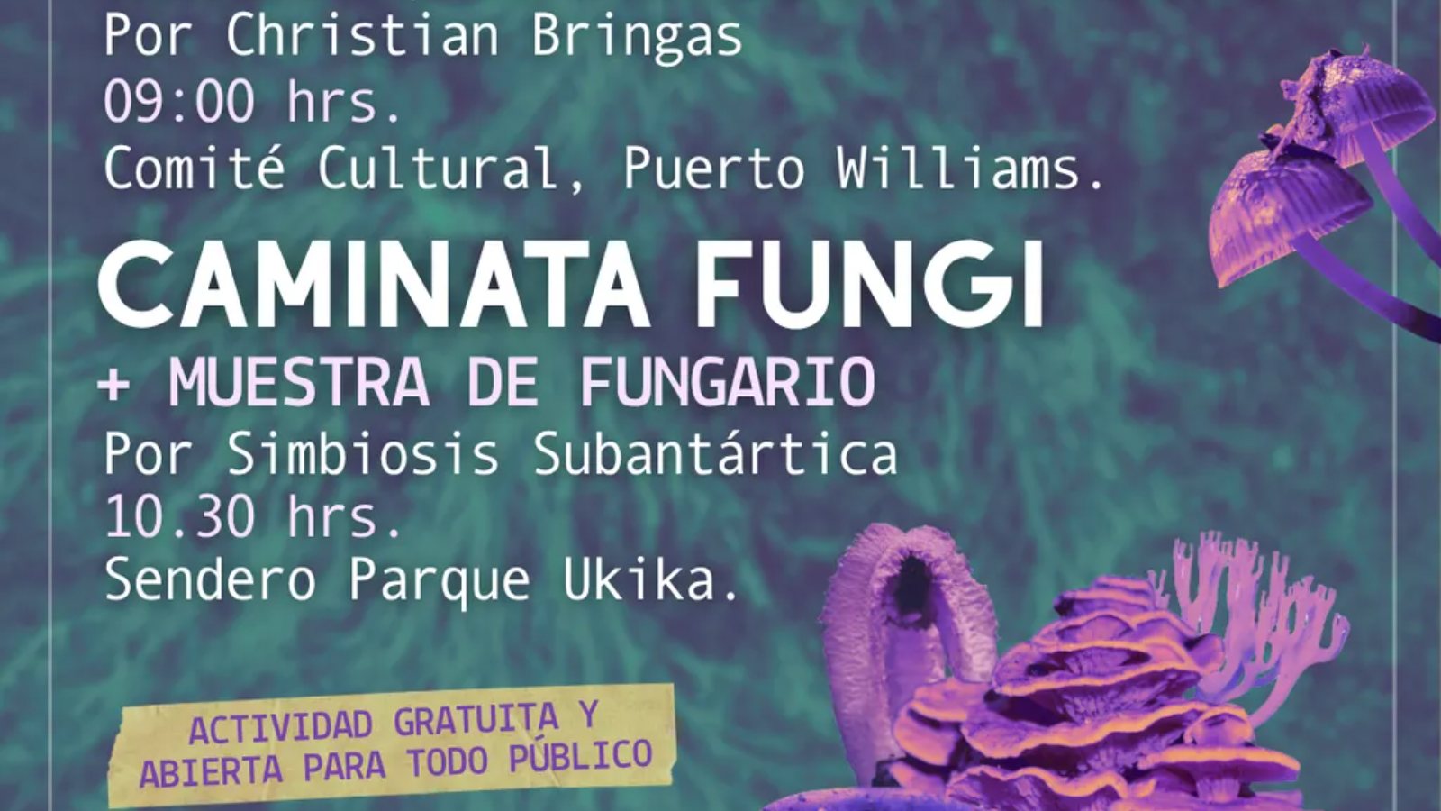 FESTIVAL MICELIO AUSTRAL LLEGA A PUERTO WILLIAMS CON CHARLA, FUNGARIO Y CAMINATA POR EL PARQUE UKIKA ESTE 10 DE OCTUBRE