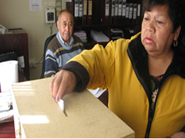 Eligen a candidatos a representantes ante el Consejo Nacional de la CONADI