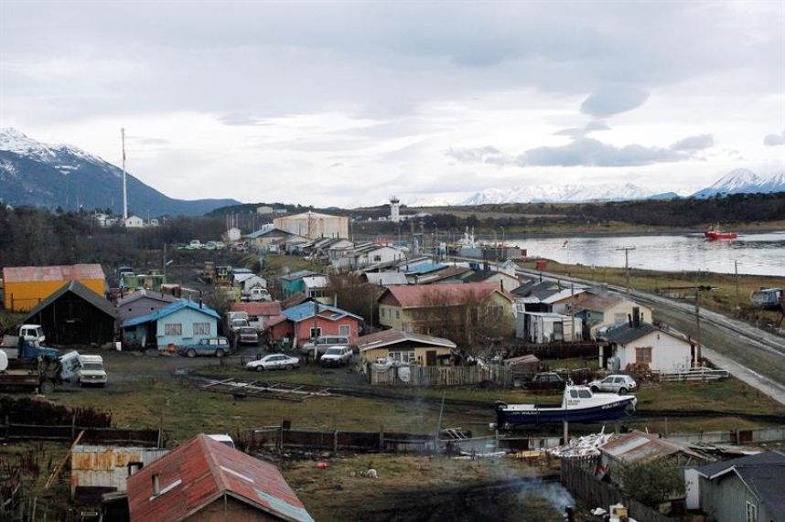 Preocupación por plaga de  ratones en Puerto Williams
