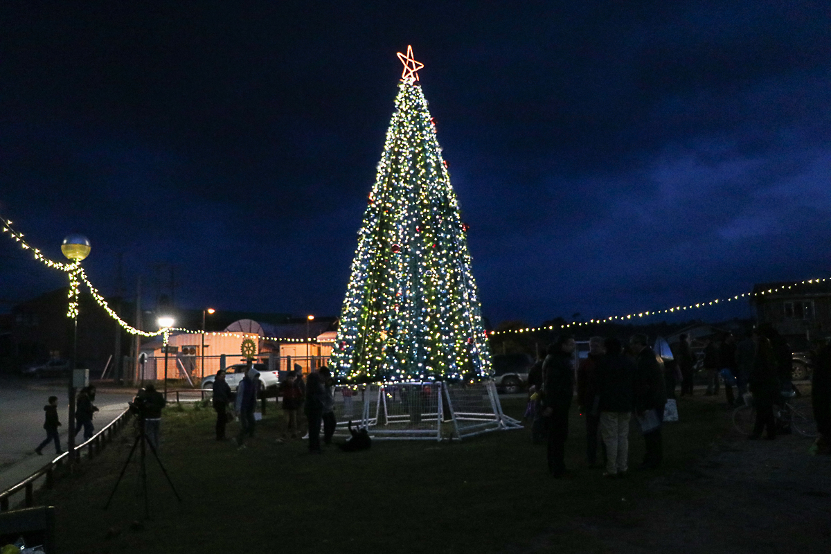 COMUNIDAD DE PUERTO WILLIAMS PARTICIPÓ DEL ENCENDIDO DEL ÁRBOL DE NAVIDAD