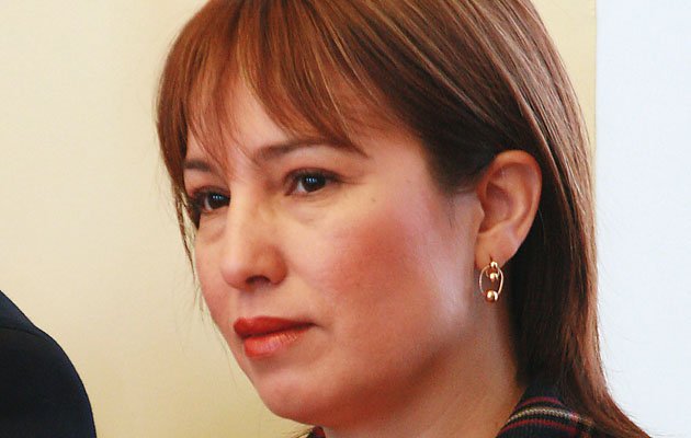 En Puerto Williams condenan “la descarada y codiciosa actitud” de consejera Nancy Dittmar