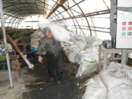 Indap entregan más de 30 toneladas de forraje a productores locales