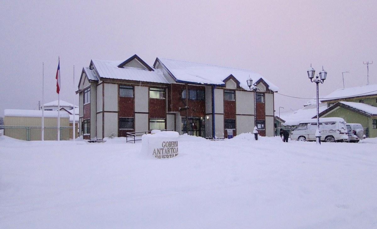 ONEMI Magallanes enviará forraje para ganado afectado por la nieve en Puerto Williams