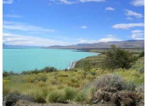 Por primera vez medirán capacidad de absorción de CO2 en bosques nativos