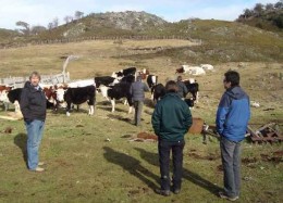 Autoridades constataron requerimientos de ganaderos en Puerto Williams
