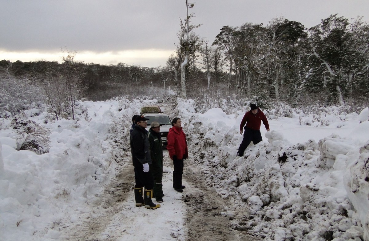 ONEMI levanta Alerta Roja y declara Alerta Amarilla en la Provincia Antártica Chilena