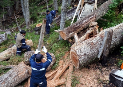 Reparan tramo más austral del Sendero de Chile