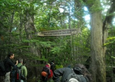 Siete proyectos de ambientales se ejecutarán en 2013 en Magallanes
