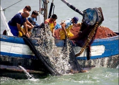 Revisa aquí cómo postular al Programa de Fortalecimiento del Sector Pesca y Acuicultura