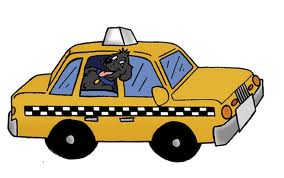 Finalmente Cabo de Hornos contará con servicio de taxis básicos y turísticos