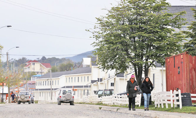 Empresa local recibe concesión por 30 años para proveer de Internet a hogares de Puerto Williams